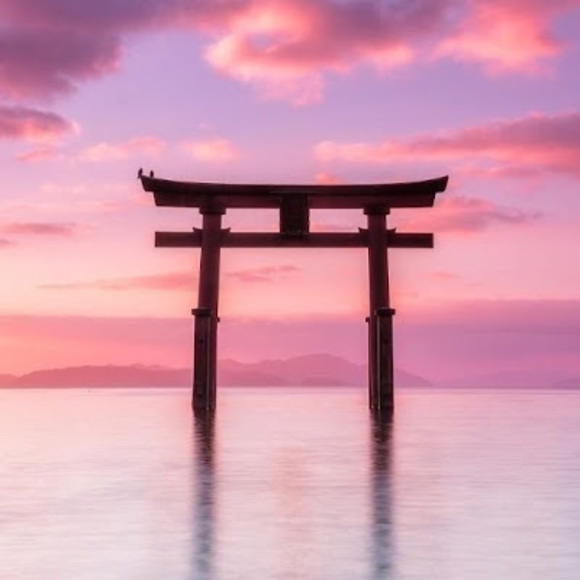 Meet your Posher, Rhea - Picture 1 of 1